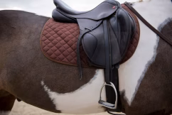 a saddled horse with a saddle on it