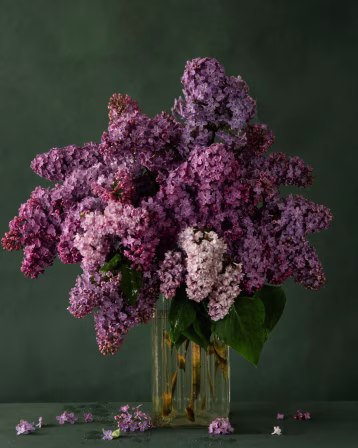 a vase of purple lila flowers on a table